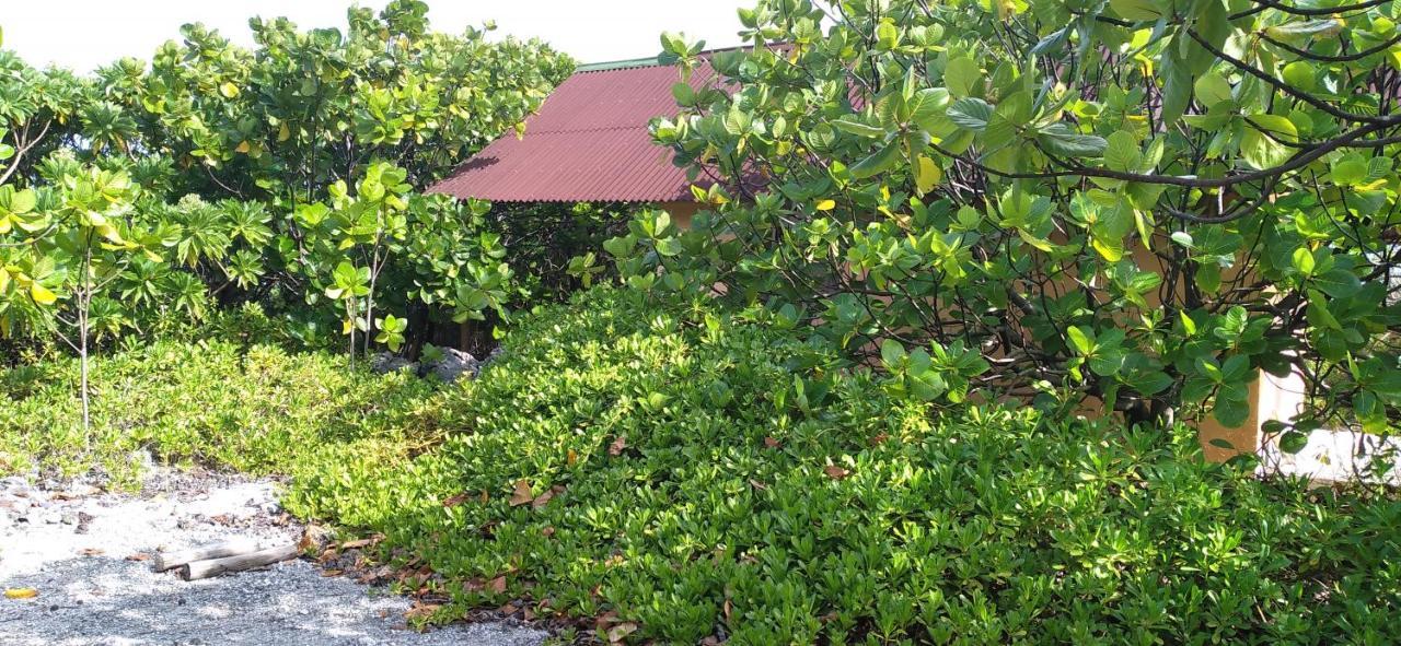 Fakarava - Teariki Lodge 1 Dış mekan fotoğraf